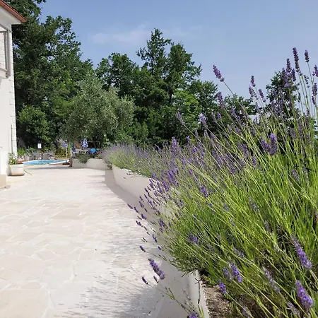 With Heated Pool Jacuzzi Sea View * Tulisevica