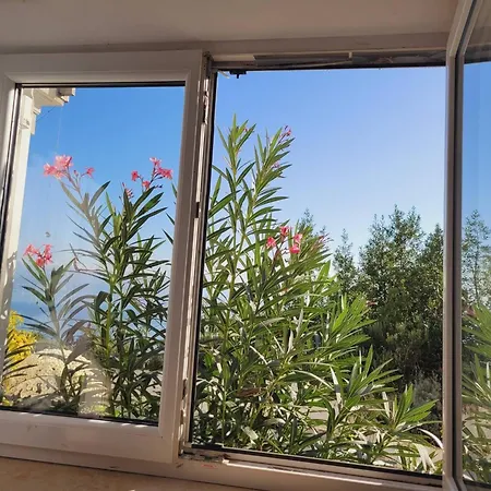 With Heated Pool Jacuzzi Sea View Apartmán Tulisevica